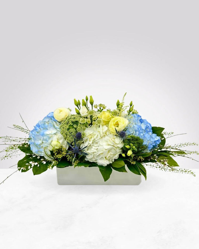 Blue Blossom