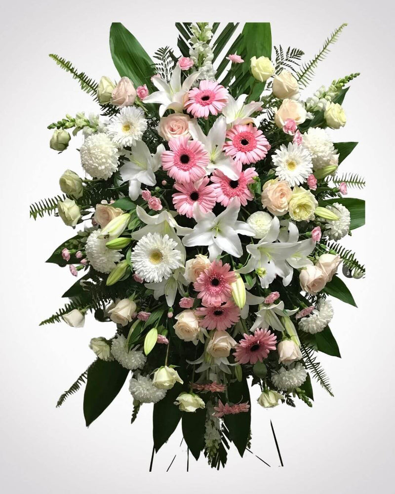 Graceful Farewell