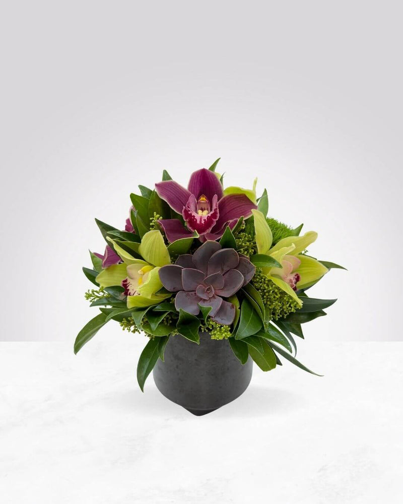 Midnight Bloom