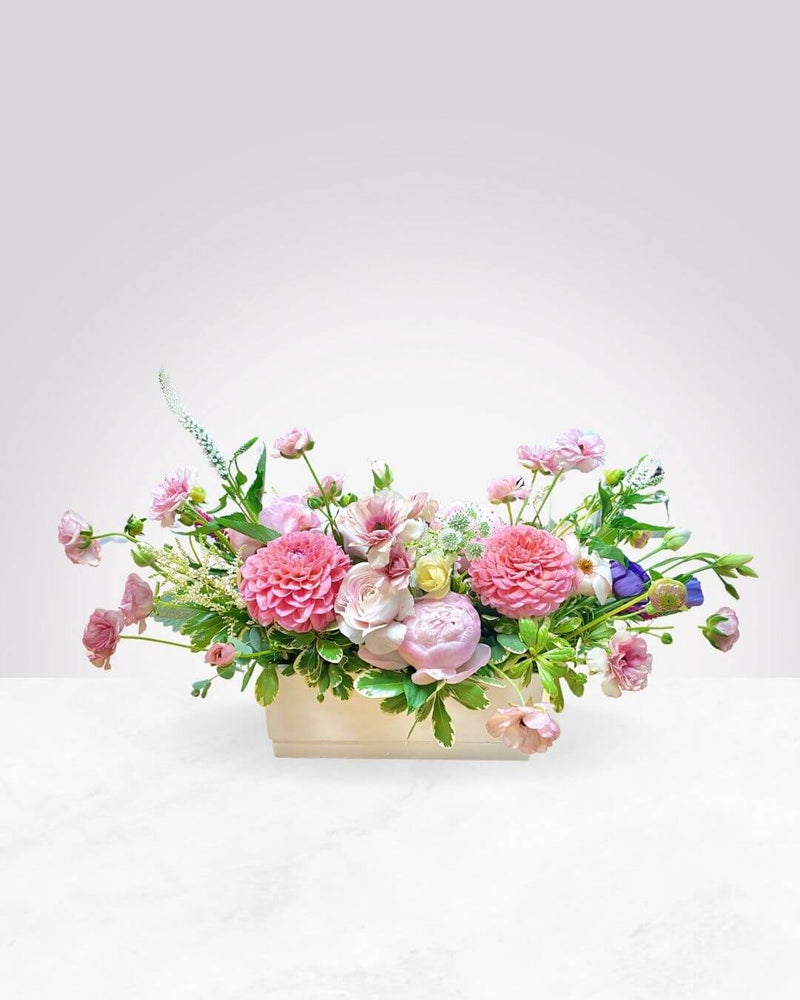 Whimsy Pinks