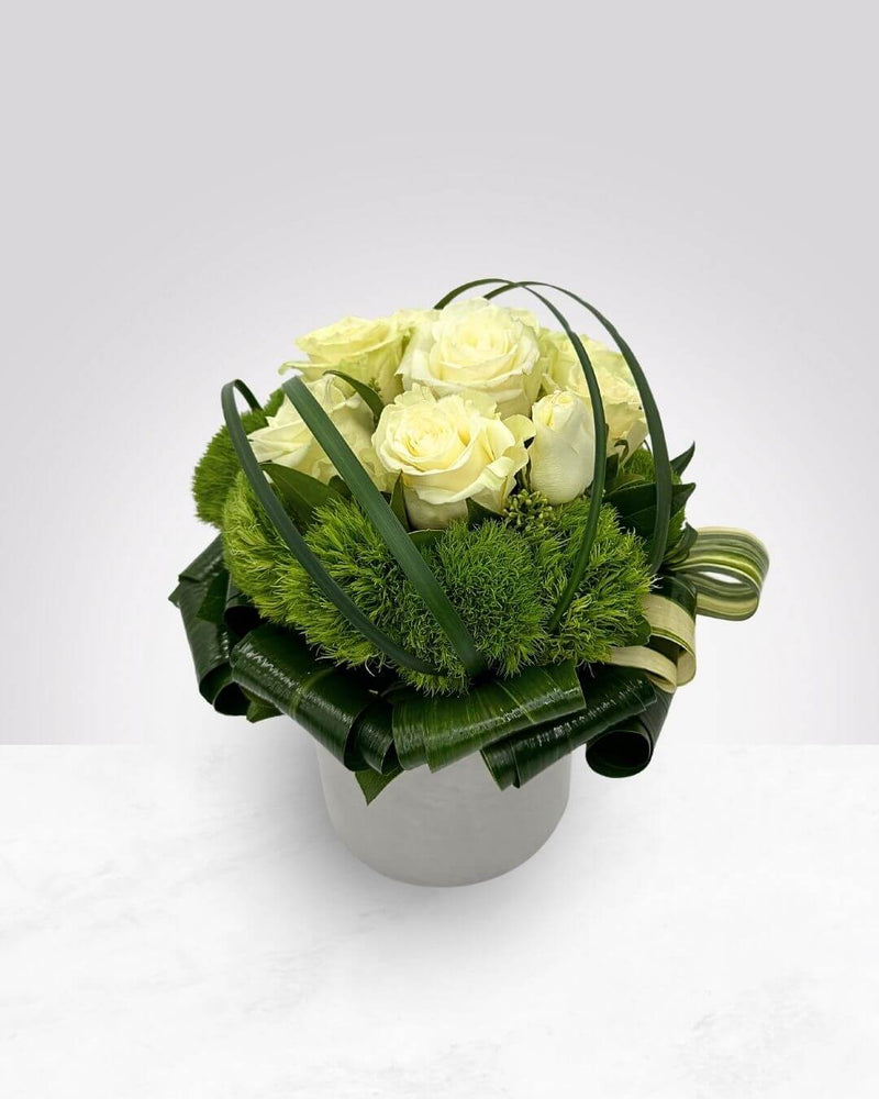 White Rose Serenade