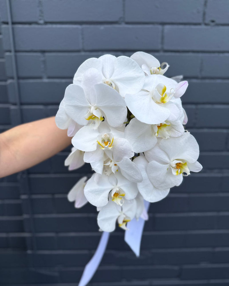 Luxurious cascading white orchid bridal bouquet tied with a white ribbon.