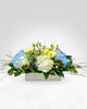 Blue Blossom