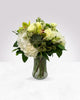 Hydrangea Harmony