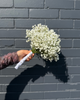 Baby's Breath Bridal Bouquet