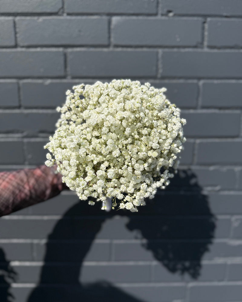 Bridal bouquet of delicate white baby’s breath.