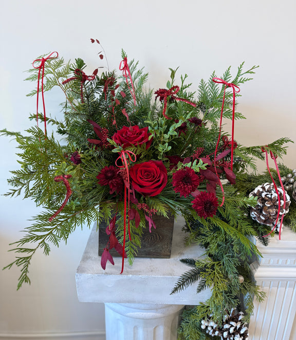 Deep burgundy blooms nestled among fresh winter greenery, finished with a festive red ribbon.