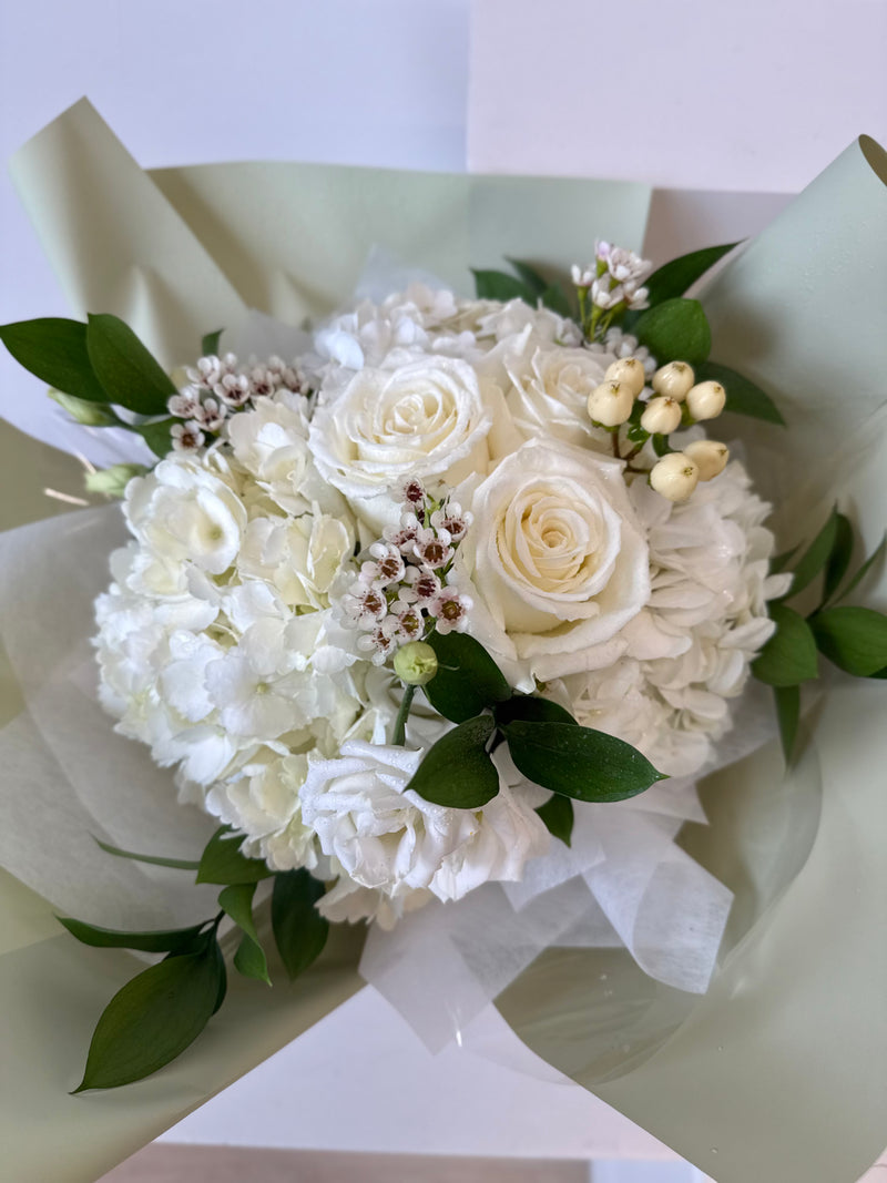 Ivory Dream