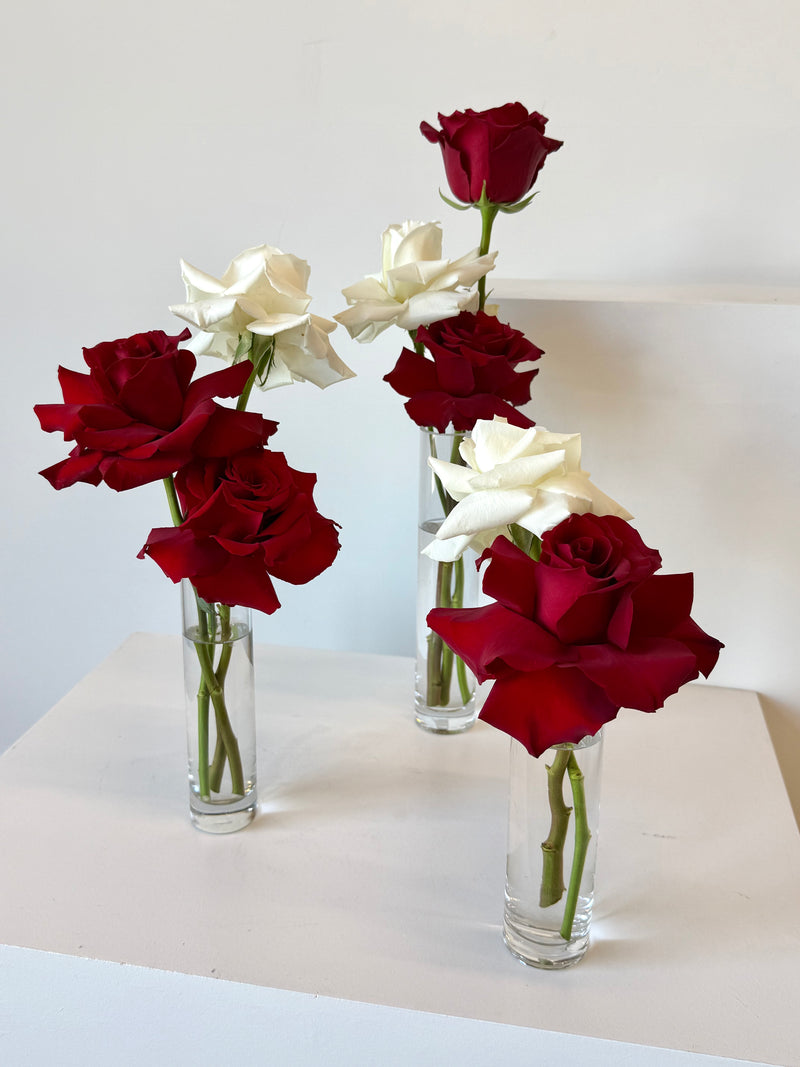 Scarlet Kiss Bud Vases (Set of 3)