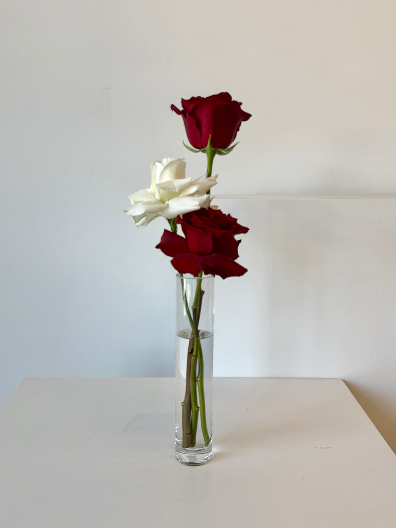 Scarlet Kiss Bud Vases (Set of 3)
