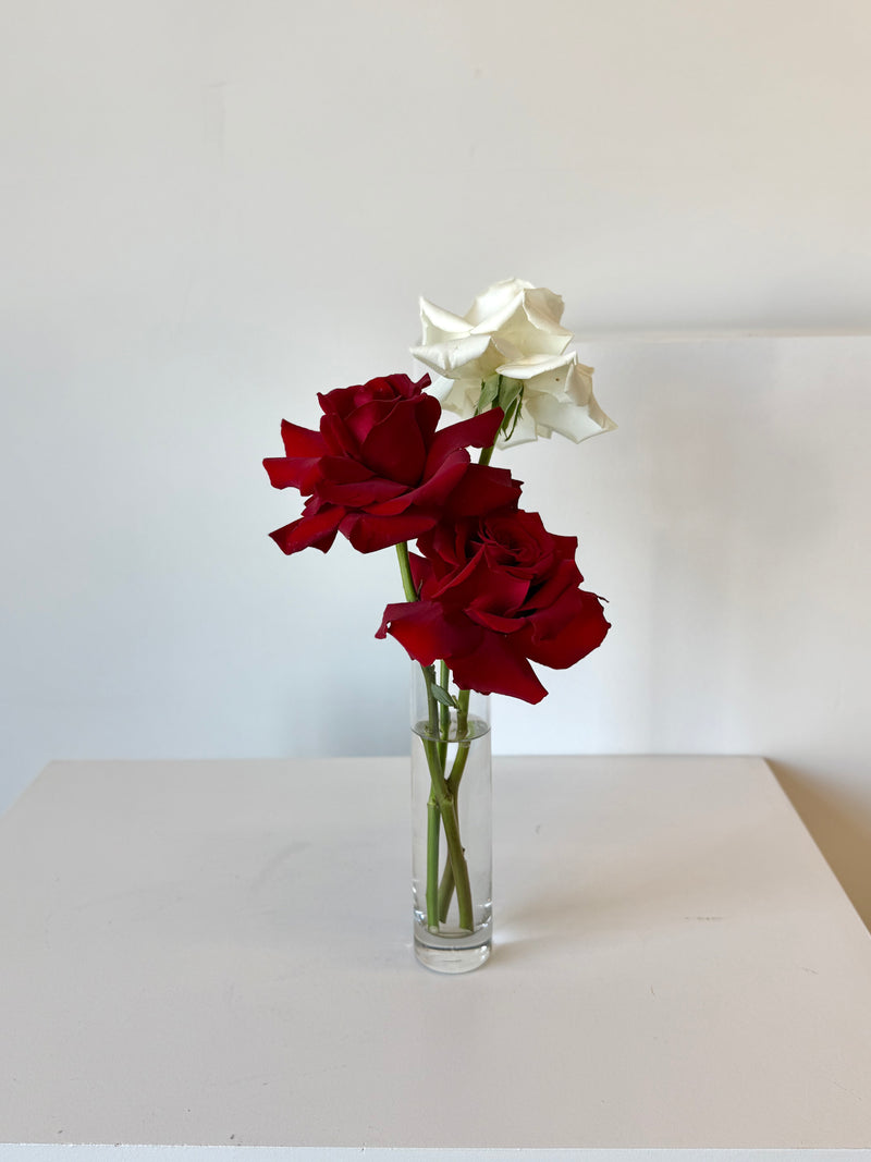 Scarlet Kiss Bud Vases (Set of 3)