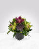 Midnight Bloom