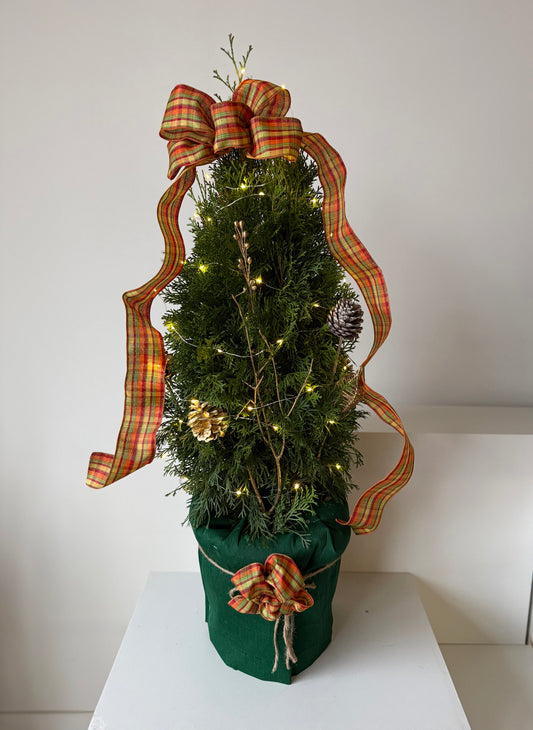 Rustic Glow Cedar Tree