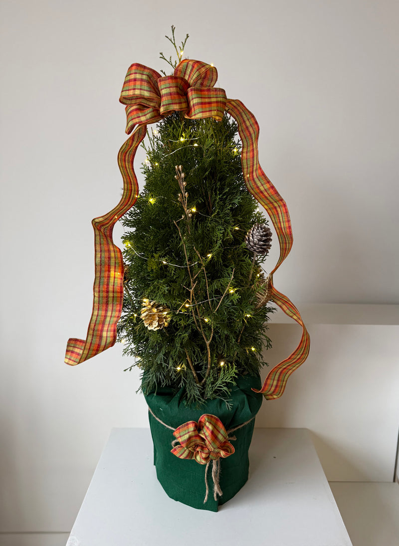 Rustic Glow Cedar Tree