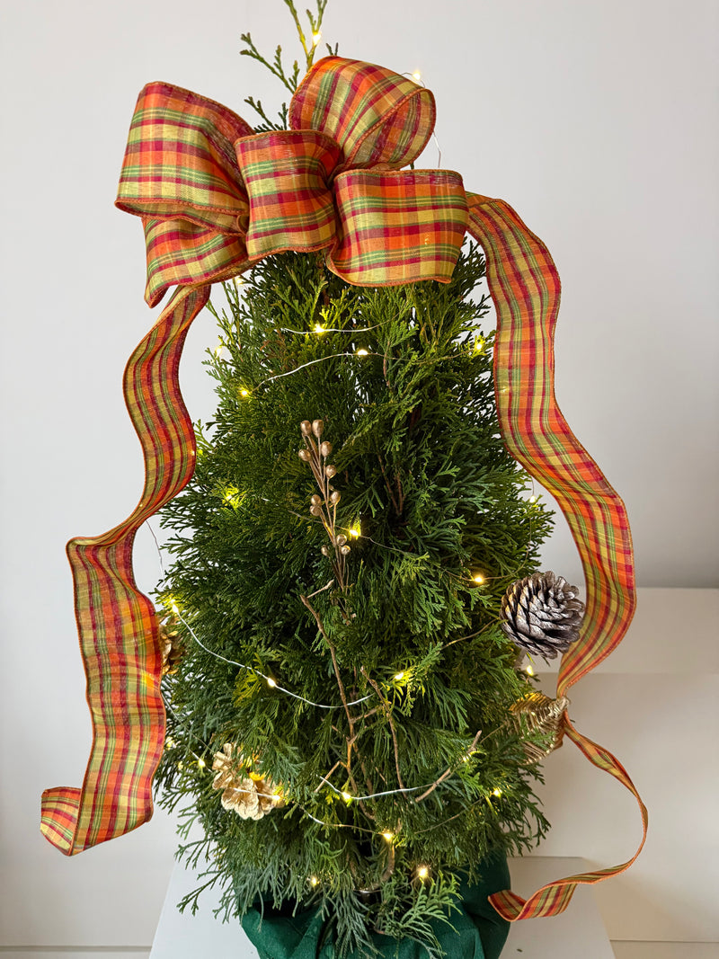 Rustic Glow Cedar Tree