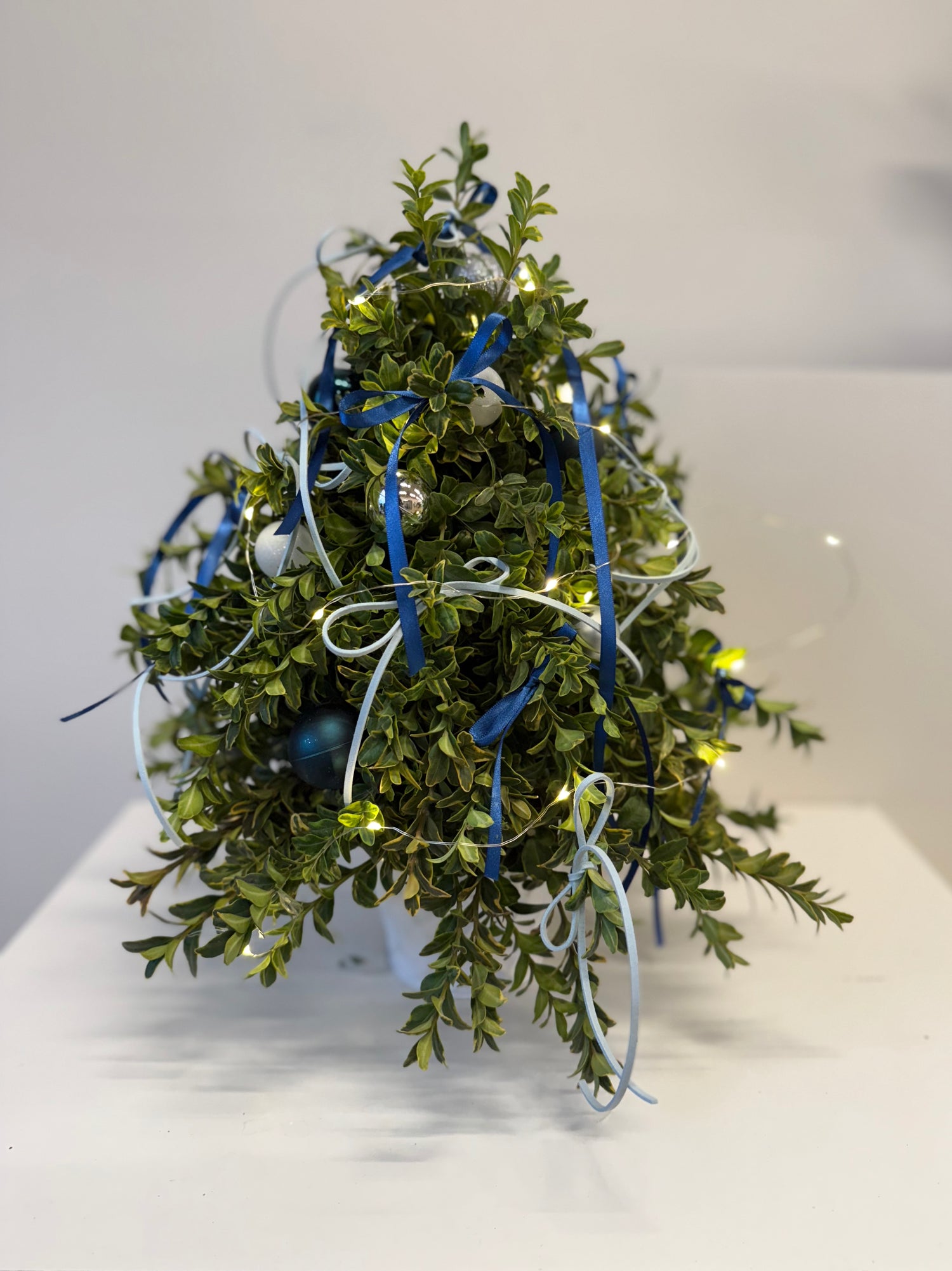 Blue Frost Mini Tree
